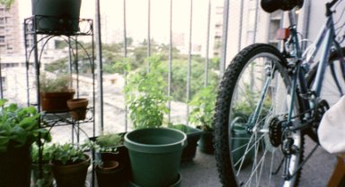Here's another snapshot of her plants, as well as her new bicycle that helps her get to work!