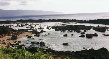 Shark's Cove...